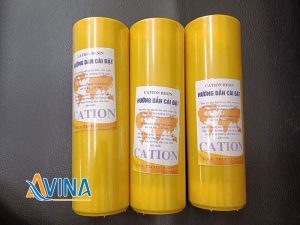 Lõi lọc cation 10 inch