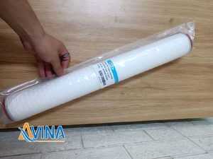 Lõi lọc xác khuẩn 20 inch