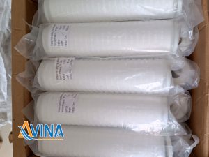 Thùng lõi xác khuẩn 10 inch không hộp