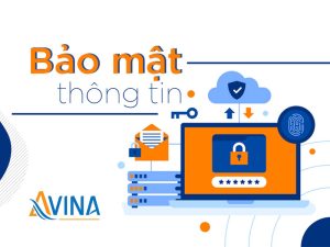 Chính sách bảo mật thông tin AVINA